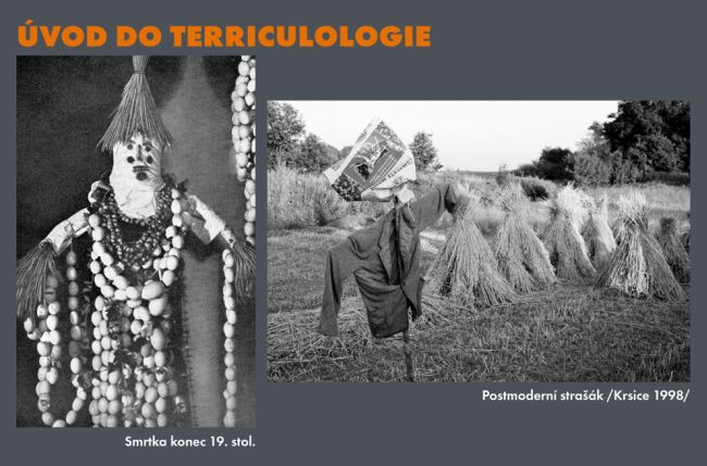 Terriculologie