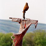 Tanečnice Swingu – Vrbice 2005