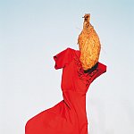 Tanečnice Flamenka 2005