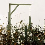 Šibenice – Vlkoš 2003
